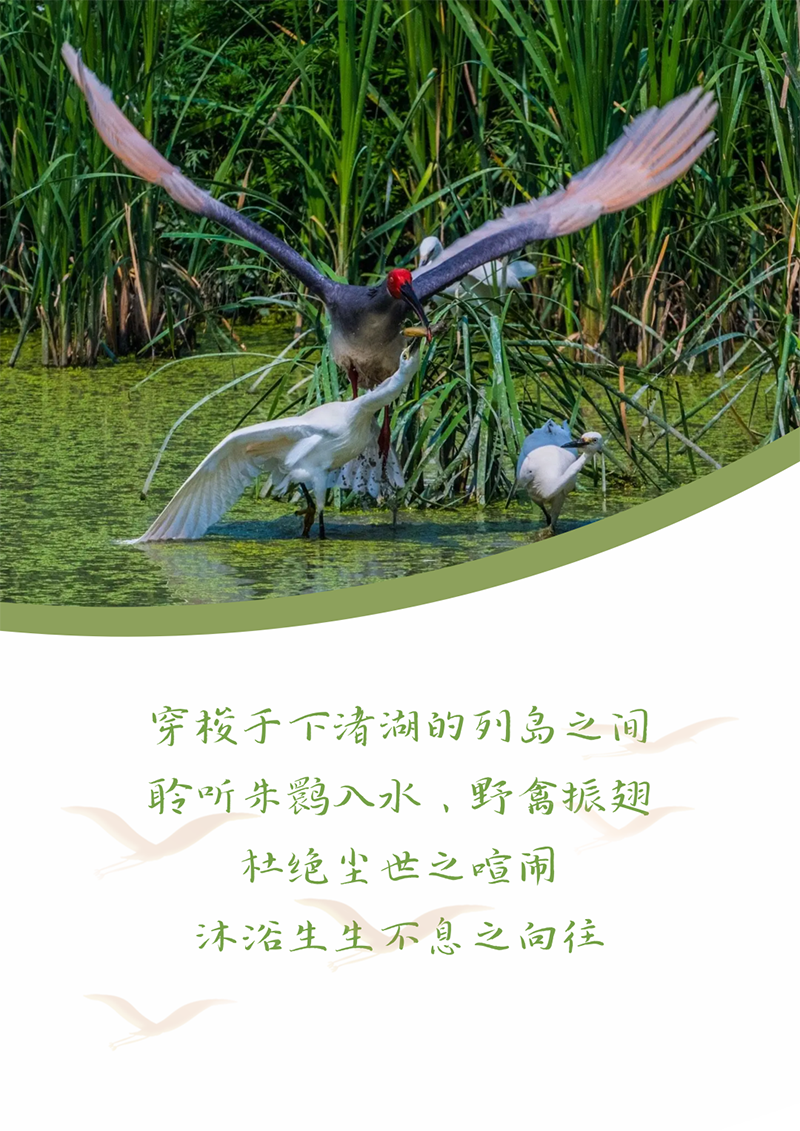 心心念廿 相伴尊龙官网登录人生就是博登录 | 与德清相约 贺廿载诞辰