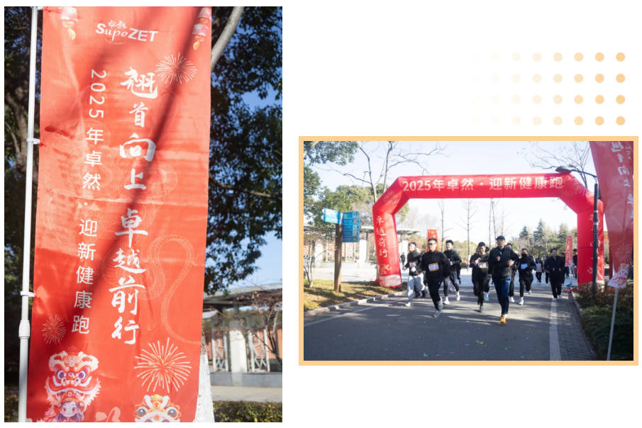 回望2024 启航2025 | 尊龙官网登录人生就是博登录股份2025年度战略年会顺遂召开